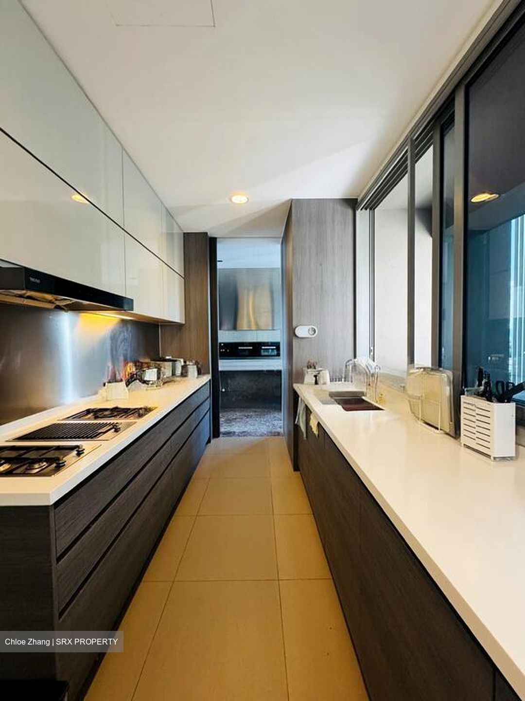 Leedon Residence (D10), Condominium #517948691